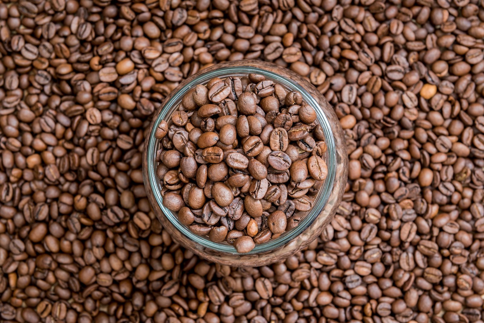 Premium Indonesian Coffee & Spice Exporter