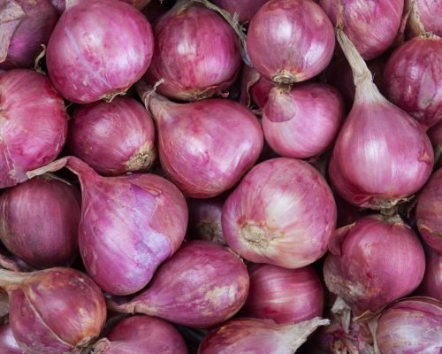 Premium Quality Shallots